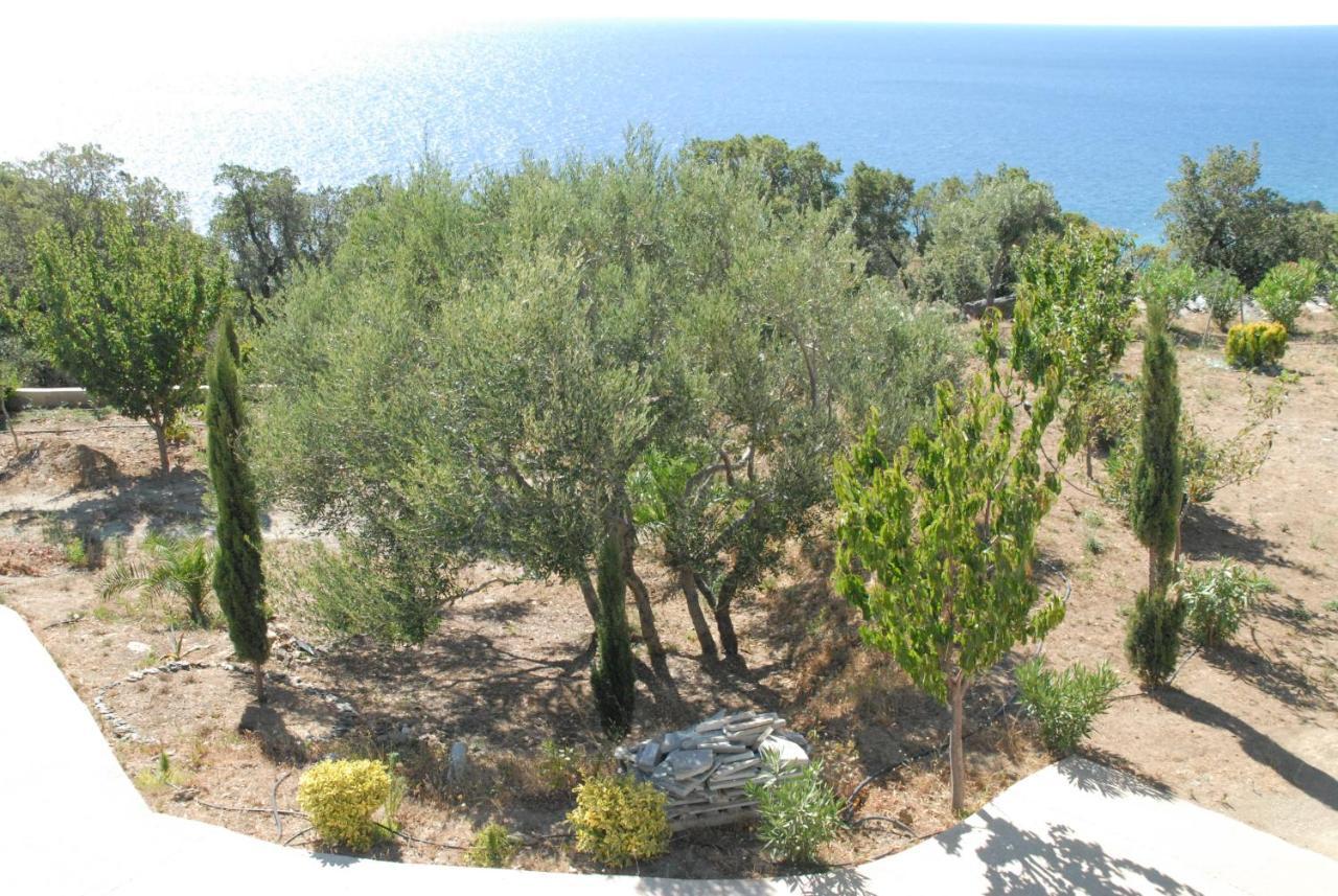 Appartement Vue Sur Mer Santa-Maria-di-Lota ภายนอก รูปภาพ