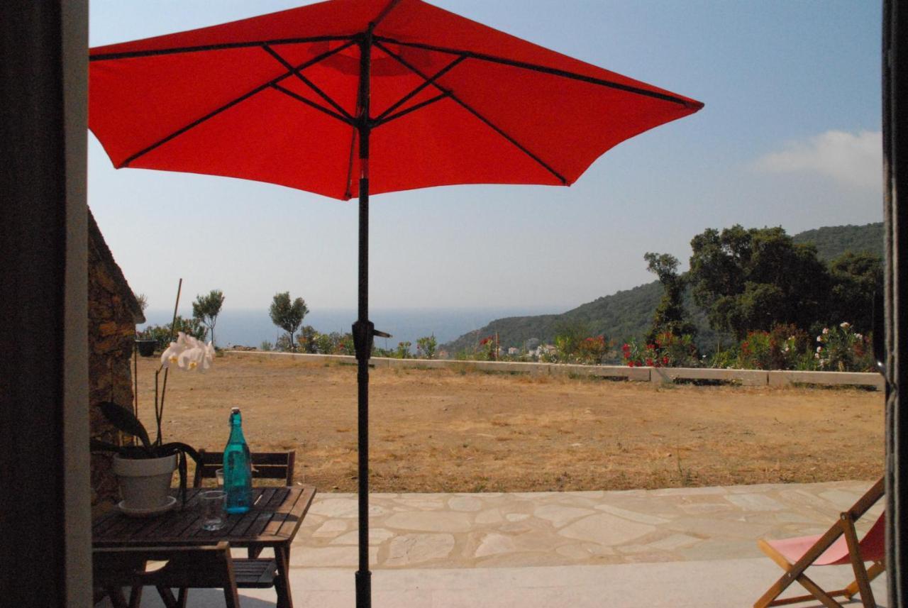 Appartement Vue Sur Mer Santa-Maria-di-Lota ภายนอก รูปภาพ