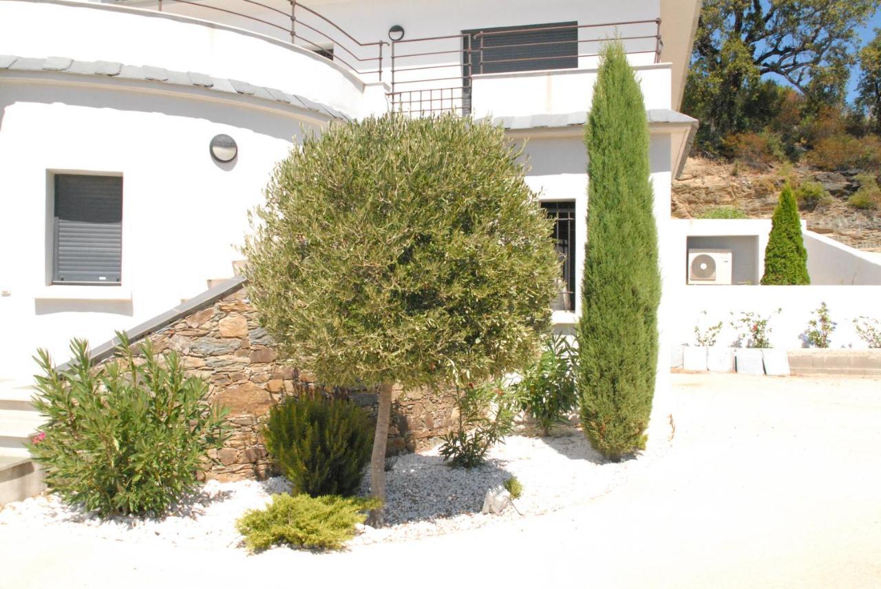 Appartement Vue Sur Mer Santa-Maria-di-Lota ภายนอก รูปภาพ