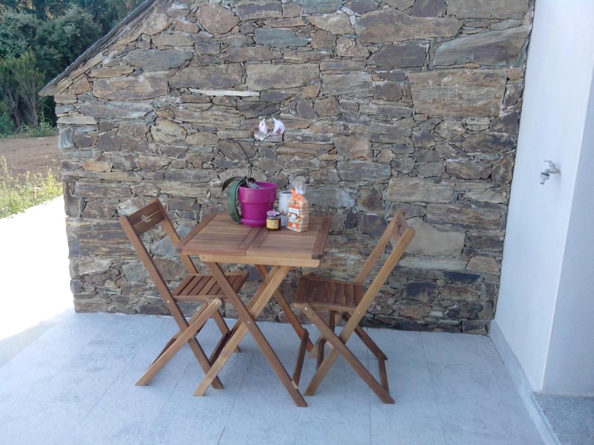 Appartement Vue Sur Mer Santa-Maria-di-Lota ภายนอก รูปภาพ