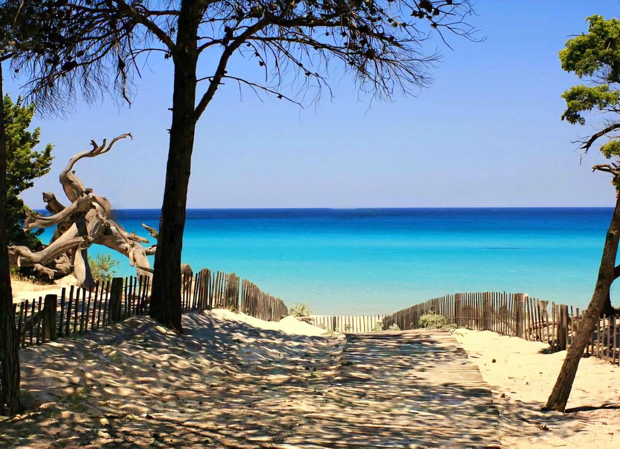 Appartement Vue Sur Mer Santa-Maria-di-Lota ภายนอก รูปภาพ