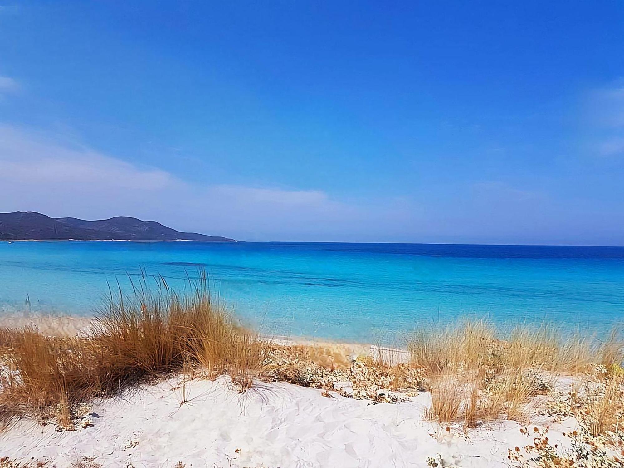 Appartement Vue Sur Mer Santa-Maria-di-Lota ภายนอก รูปภาพ